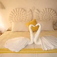 Hotel Elan Resort And Spa Cancun